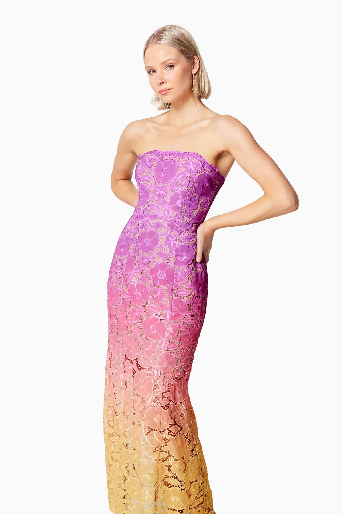 Elliatt - Mesmerizing Ombre Lace Maxi Dress