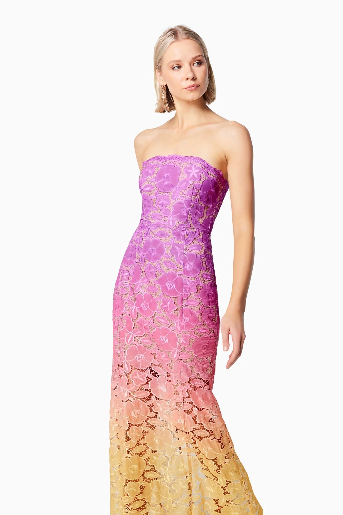 Elliatt - Mesmerizing Ombre Lace Maxi Dress