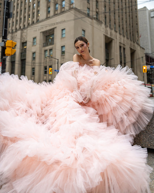 Rent a dress for engagement shoot in Toronto, Canada